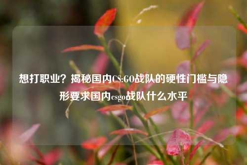 想打职业？揭秘国内CS:GO战队的硬性门槛与隐形要求国内csgo战队什么水平