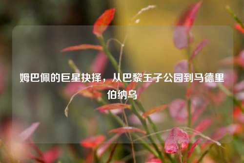 姆巴佩的巨星抉择,从巴黎王子公园到马德里伯纳乌