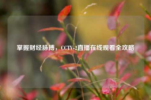掌握财经脉搏,CCTV-2直播在线观看全攻略