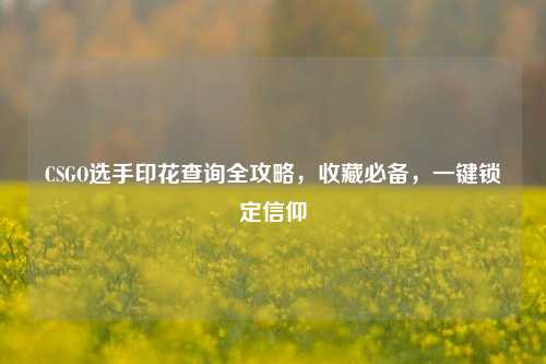 CSGO选手印花查询全攻略，收藏必备，一键锁定信仰