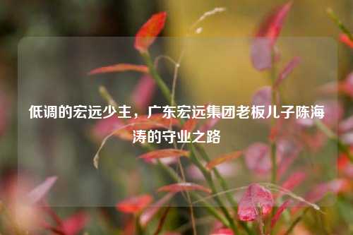 低调的宏远少主,广东宏远集团老板儿子陈海涛的守业之路