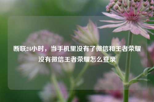 断联24小时，当手机里没有了微信和王者荣耀没有微信王者荣耀怎么登录