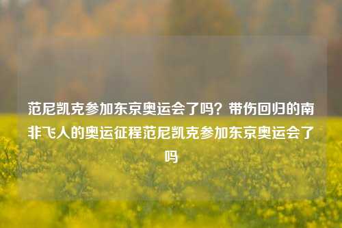 范尼凯克参加东京奥运会了吗?带伤回归的南非飞人的奥运征程范尼凯克参加东京奥运会了吗