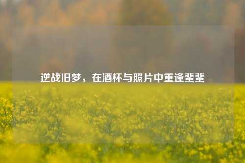 逆战旧梦，在酒杯与照片中重逢蜚蜚