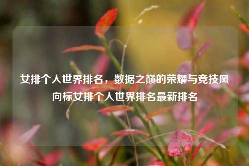 女排个人世界排名,数据之巅的荣耀与竞技风向标女排个人世界排名最新排名