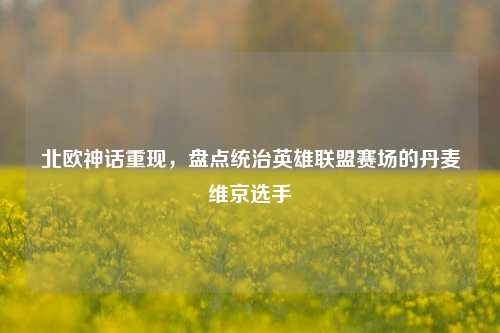 北欧神话重现，盘点统治英雄联盟赛场的丹麦维京选手