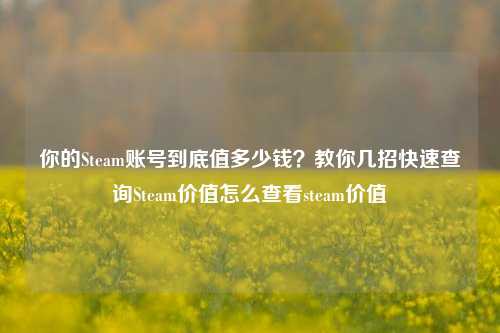 你的Steam账号到底值多少钱?教你几招快速查询Steam价值怎么查看steam价值