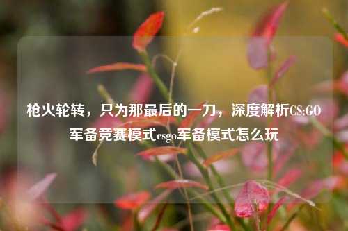 枪火轮转,只为那最后的一刀,深度解析CS:GO军备竞赛模式csgo军备模式怎么玩
