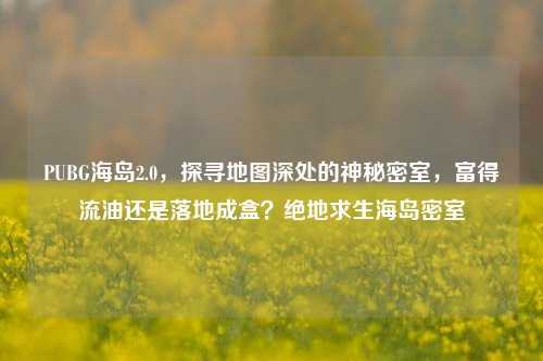 PUBG海岛2.0,探寻地图深处的神秘密室,富得流油还是落地成盒?绝地求生海岛密室