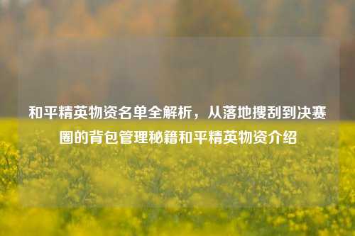 和平精英物资名单全解析,从落地搜刮到决赛圈的背包管理秘籍和平精英物资介绍