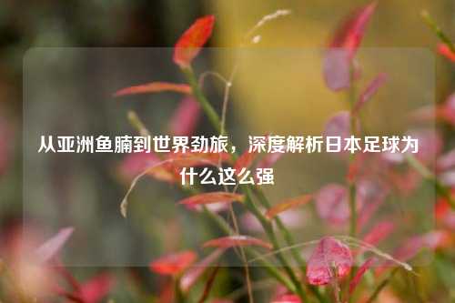从亚洲鱼腩到世界劲旅，深度解析日本足球为什么这么强