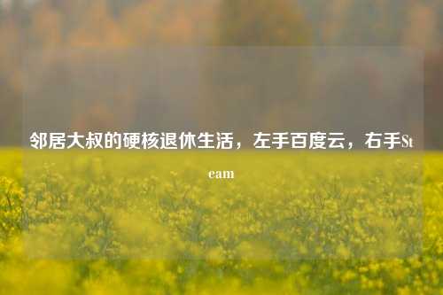 邻居大叔的硬核退休生活,左手百度云,右手Steam
