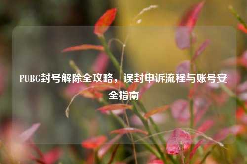 PUBG封号解除全攻略，误封申诉流程与账号安全指南