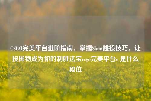 CSGO完美平台进阶指南,掌握Slam跳投技巧,让投掷物成为你的制胜法宝csgo完美平台c 是什么段位