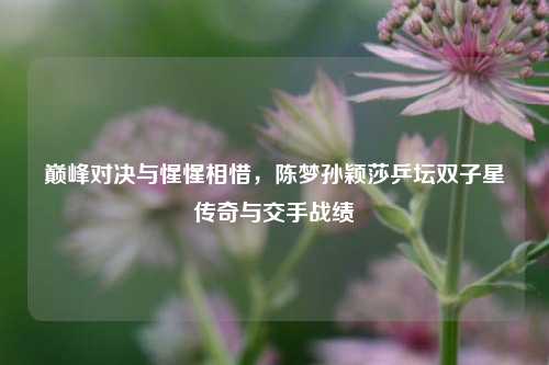 巅峰对决与惺惺相惜,陈梦孙颖莎乒坛双子星传奇与交手战绩