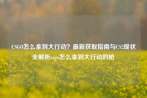 CSGO怎么拿到大行动?最新获取指南与CS2现状全解析csgo怎么拿到大行动的枪