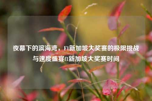 夜幕下的滨海湾,F1新加坡大奖赛的极限挑战与速度盛宴f1新加坡大奖赛时间