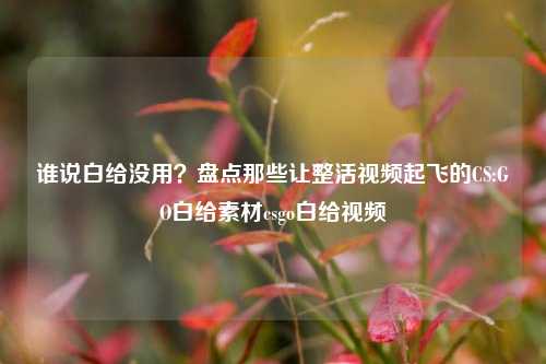 谁说白给没用?盘点那些让整活视频起飞的CS:GO白给素材csgo白给视频