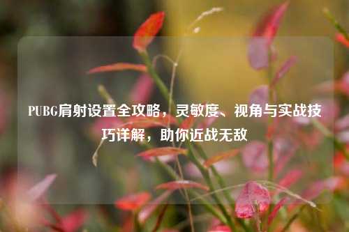 PUBG肩射设置全攻略，灵敏度、视角与实战技巧详解，助你近战无敌