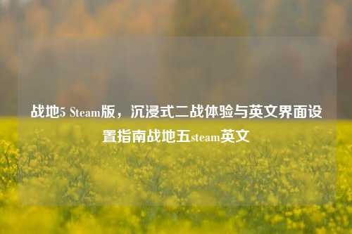 战地5 Steam版,沉浸式二战体验与英文界面设置指南战地五steam英文
