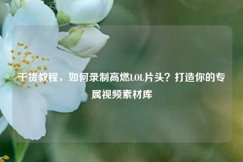 干货教程，如何录制高燃LOL片头？打造你的专属视频素材库