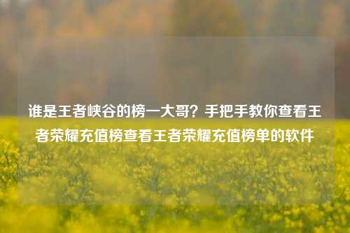 谁是王者峡谷的榜一大哥？手把手教你查看王者荣耀充值榜查看王者荣耀充值榜单的软件