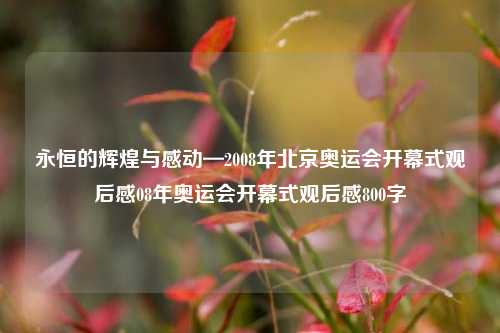 永恒的辉煌与感动—2008年北京奥运会开幕式观后感08年奥运会开幕式观后感800字