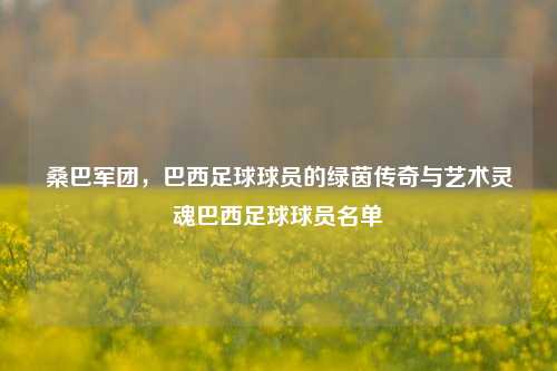 桑巴军团,巴西足球球员的绿茵传奇与艺术灵魂巴西足球球员名单