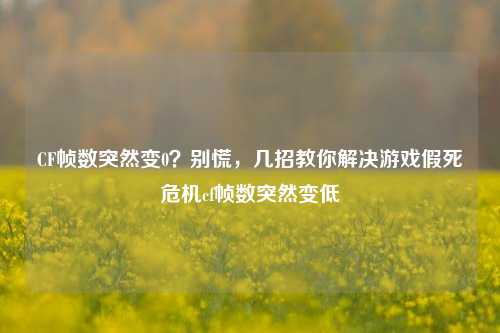 CF帧数突然变0？别慌，几招教你解决游戏假死危机cf帧数突然变低