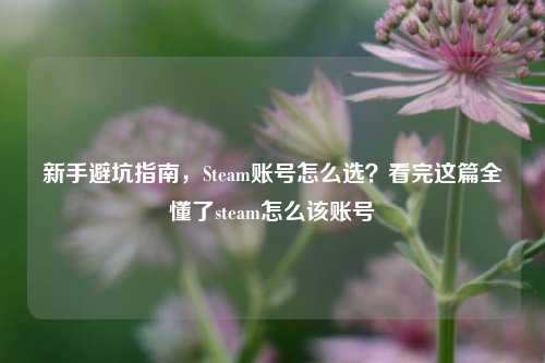 新手避坑指南,Steam账号怎么选?看完这篇全懂了steam怎么该账号