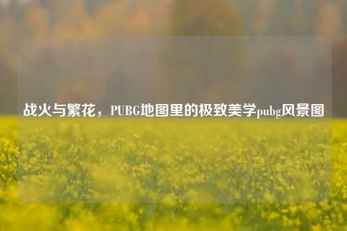 战火与繁花，PUBG地图里的极致美学pubg风景图