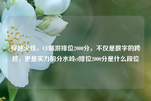 穿越火线,CF端游排位2000分,不仅是数字的跨越,更是实力的分水岭cf排位2000分是什么段位