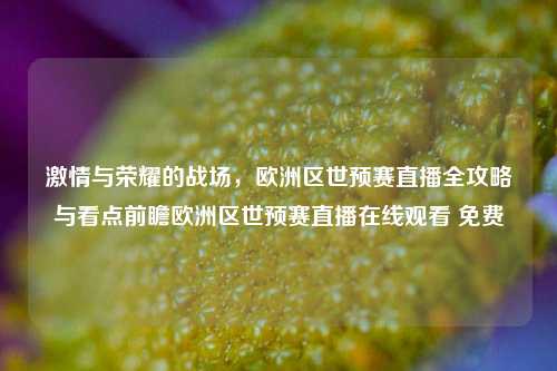 激情与荣耀的战场，欧洲区世预赛直播全攻略与看点前瞻欧洲区世预赛直播在线观看 免费