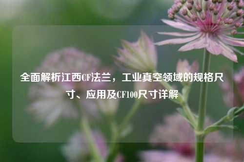 全面解析江西CF法兰,工业真空领域的规格尺寸、应用及CF100尺寸详解
