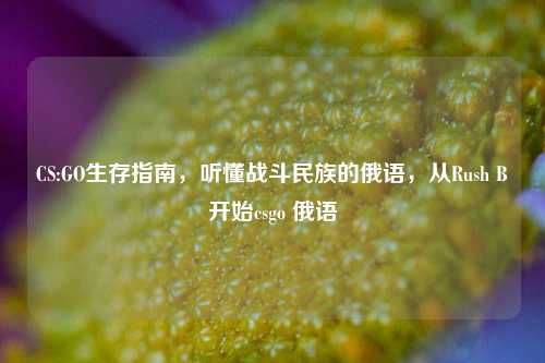 CS:GO生存指南，听懂战斗民族的俄语，从Rush B开始csgo 俄语