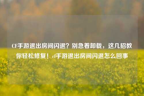 CF手游退出房间闪退?别急着卸载,这几招教你轻松修复!cf手游退出房间闪退怎么回事
