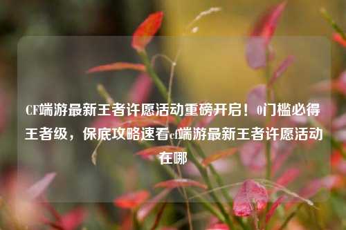 CF端游最新王者许愿活动重磅开启!0门槛必得王者级,保底攻略速看cf端游最新王者许愿活动在哪