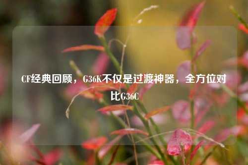 CF经典回顾,G36K不仅是过渡神器,全方位对比G36C