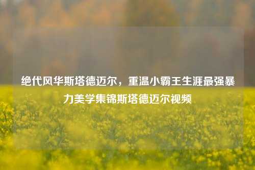 绝代风华斯塔德迈尔，重温小霸王生涯最强暴力美学集锦斯塔德迈尔视频