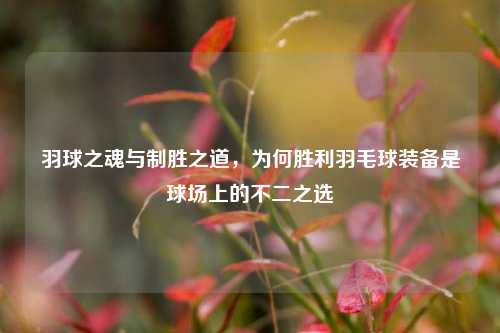 羽球之魂与制胜之道,为何胜利羽毛球装备是球场上的不二之选