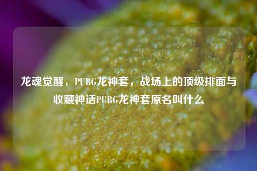 龙魂觉醒,PUBG龙神套,战场上的顶级排面与收藏神话PUBG龙神套原名叫什么