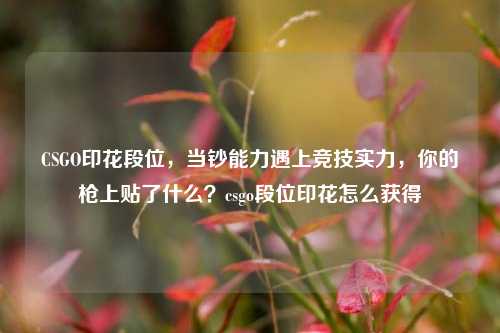 CSGO印花段位，当钞能力遇上竞技实力，你的枪上贴了什么？csgo段位印花怎么获得