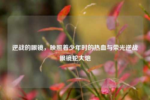 逆战的眼镜,映照着少年时的热血与荣光逆战眼镜蛇大炮