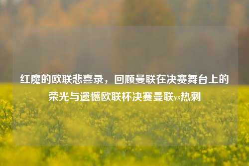 红魔的欧联悲喜录,回顾曼联在决赛舞台上的荣光与遗憾欧联杯决赛曼联vs热刺