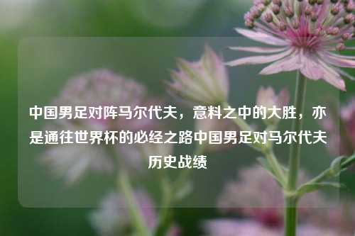 中国男足对阵马尔代夫，意料之中的大胜，亦是通往世界杯的必经之路中国男足对马尔代夫历史战绩