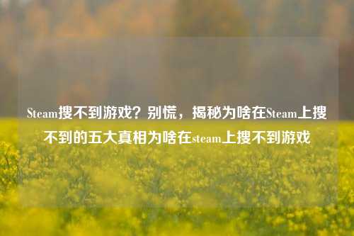 Steam搜不到游戏?别慌,揭秘为啥在Steam上搜不到的五大真相为啥在steam上搜不到游戏