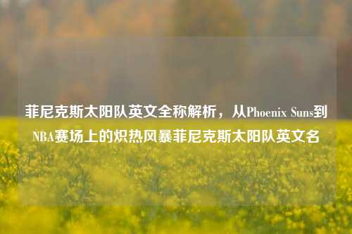 菲尼克斯太阳队英文全称解析,从Phoenix Suns到NBA赛场上的炽热风暴菲尼克斯太阳队英文名