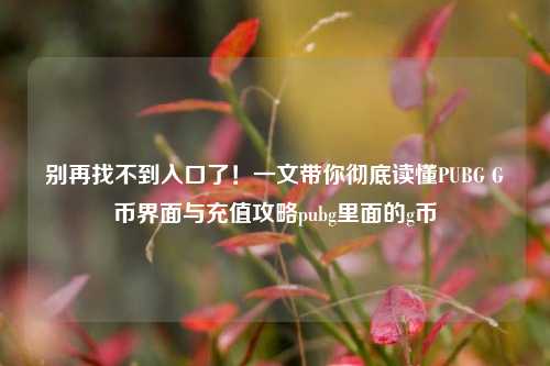 别再找不到入口了!一文带你彻底读懂PUBG G币界面与充值攻略pubg里面的g币