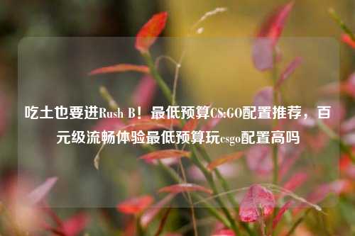 吃土也要进Rush B！最低预算CS:GO配置推荐，百元级流畅体验最低预算玩csgo配置高吗
