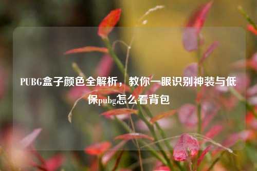 PUBG盒子颜色全解析,教你一眼识别神装与低保pubg怎么看背包